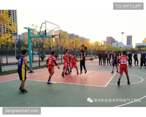 篮球比赛中球卡篮筐规则详解：判罚标准与执行流程